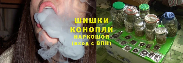 ГАЛЛЮЦИНОГЕННЫЕ ГРИБЫ Арсеньев