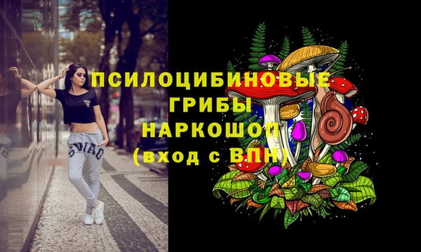 ГАЛЛЮЦИНОГЕННЫЕ ГРИБЫ Арсеньев