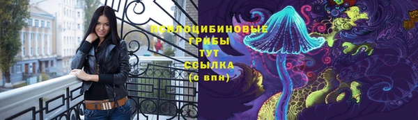 ГАЛЛЮЦИНОГЕННЫЕ ГРИБЫ Арсеньев