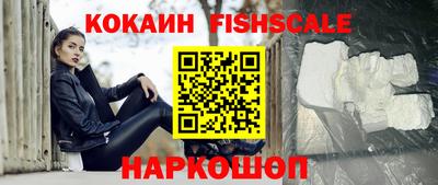спиды Гатчина