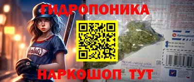 спиды Гатчина