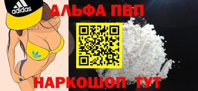 спиды Гатчина
