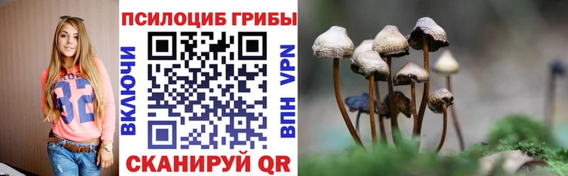 цена наркотик  Нарткала  Галлюциногенные грибы GOLDEN TEACHER 
